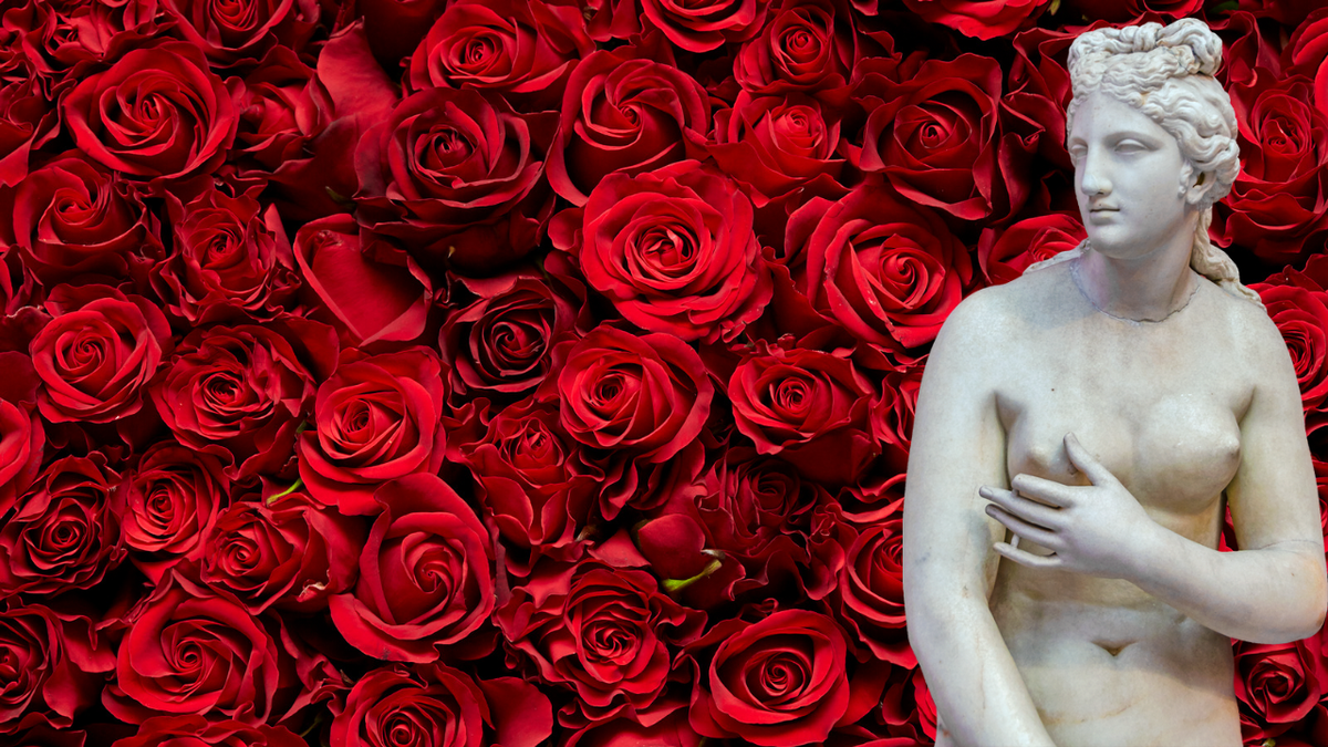 A white marble statue of Aphrodite against a backdrop of red roses.